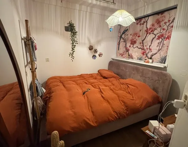 Rollo Rollo Vintage Boho Hintergrund im Japandi Stil — Inspiration unserer Kunden