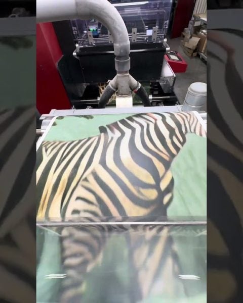 Produktvideo: Safari-Fototapete fürs Kinderzimmer wird gedruckt | Fototapete nach Maß | Nikkel Art